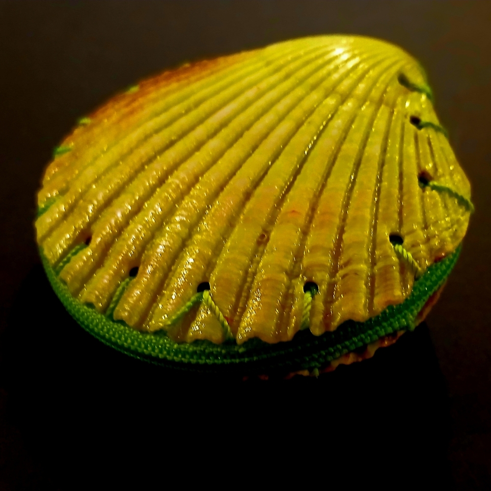 Vintage Brightly Coloured Sea Shell Change Purse